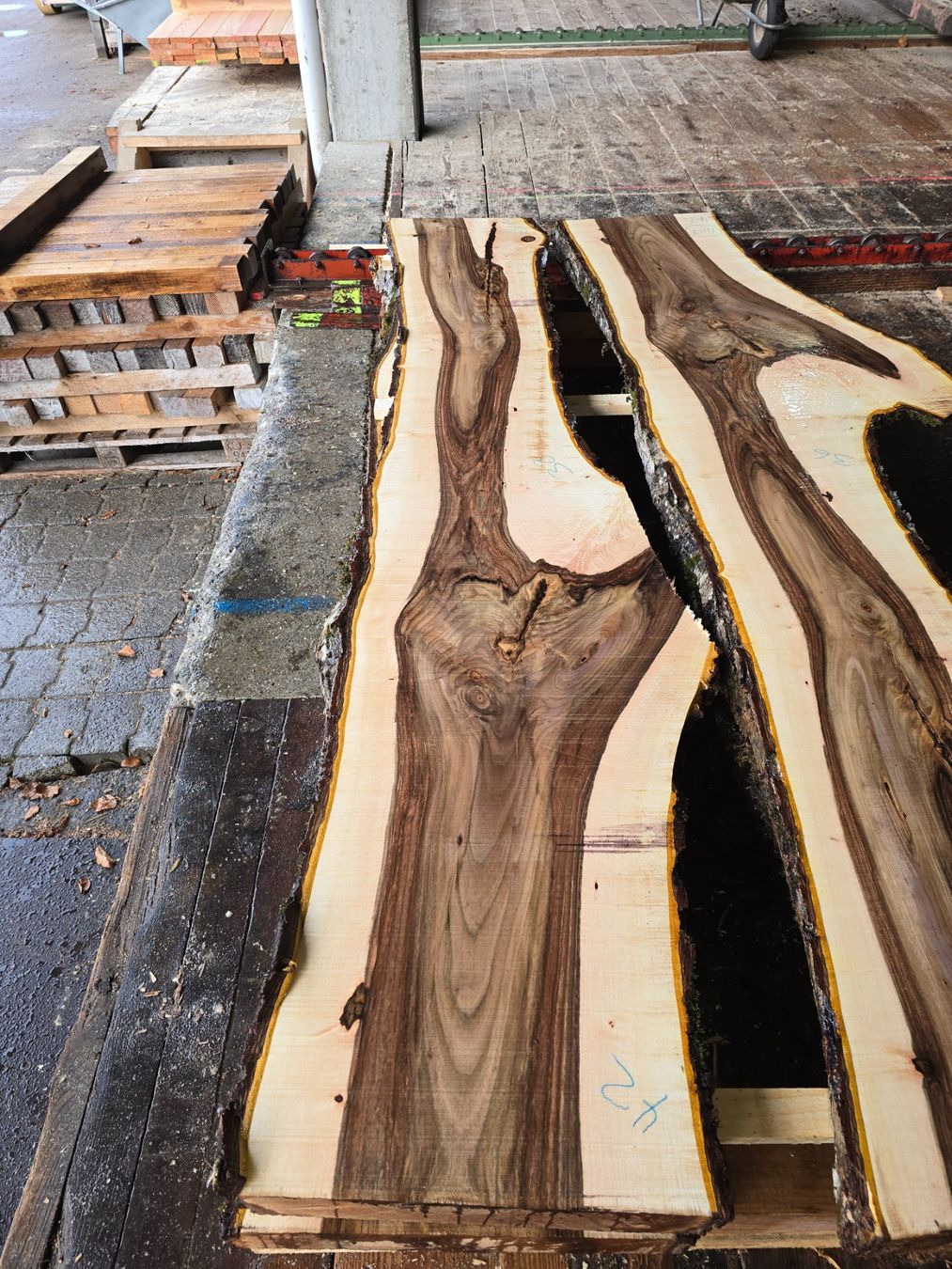 Articoli in legno: Nussbaumbrett Nr. N88 – Nuovo (secondo la descrizione) da Ramsei venduto da Waelchris 1