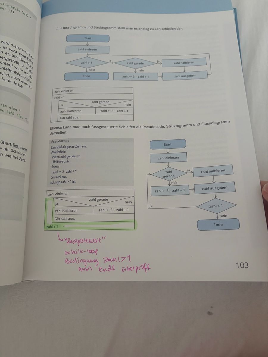 Libri: Informatik Sekundarstufe II Westermann top Zustand – Usato da Thalwil venduto da CantzlerE 4
