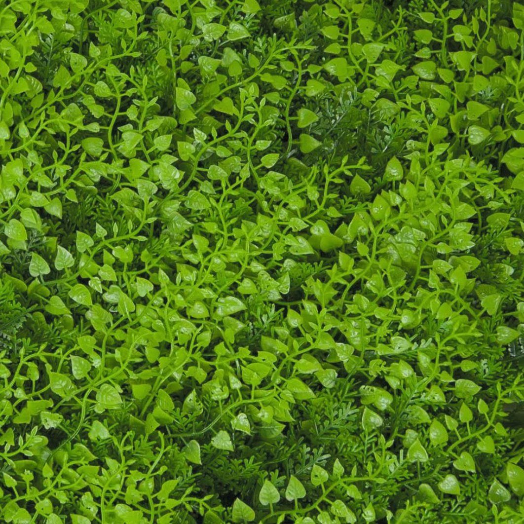 Tutte le decorazioni: Tenax Divy 3D Panel Realistic green – Nuovo (secondo la descrizione) da Lausanne venduto da guestudio 1