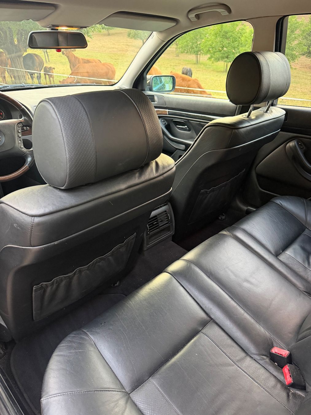BMW Autos: Bmw 525i e39 – D'occasion à Rheinfelden par dil_6w8t 6