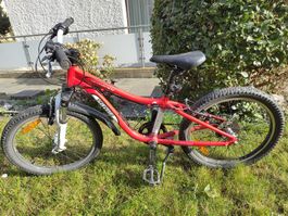 Kindervelo Specialized Hotrock 20"