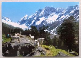 Guggalp ob Fafleralp im Lötschental