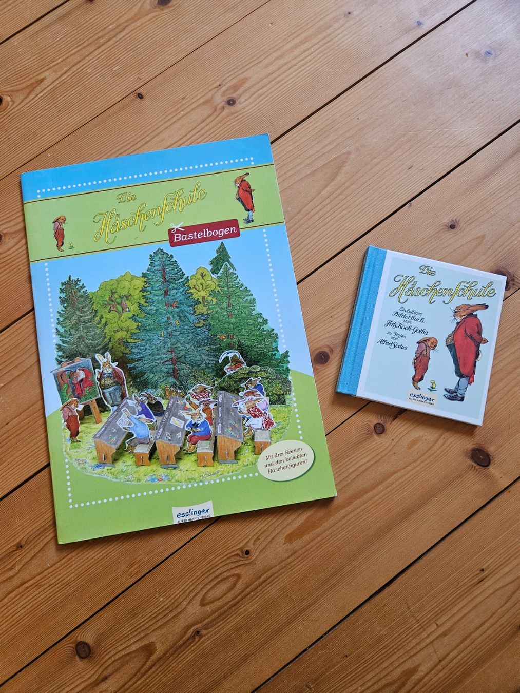 Libri: NEU Buch " die Häschenschule" und Bastelbogen, Ostern – Usato da Rifferswil venduto da fle_5nqr