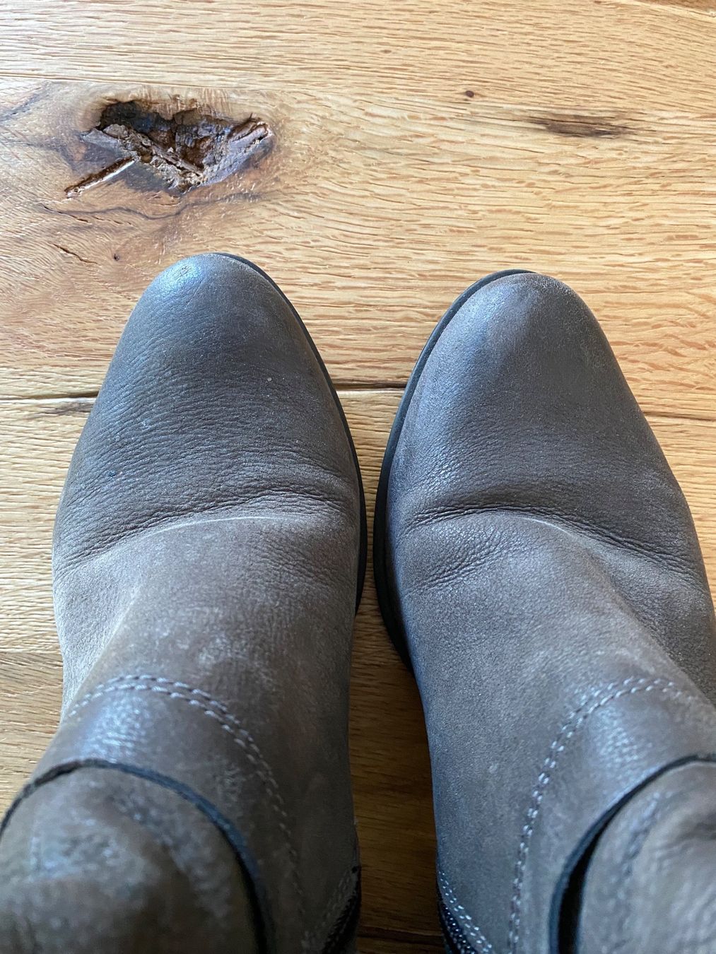 Mjus Damenschuhe: Stiefelette, Mjus, 38 – Gebraucht aus Eiken von jessycat01 1