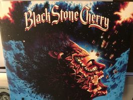 Black Stone Cherry - Screamin' at the Sky