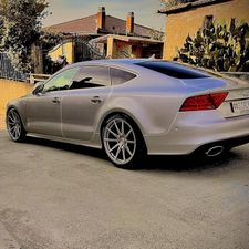 Profile image of Dominik813