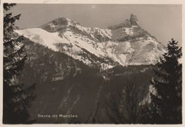 AK Dents de Morcles - gel. 1934