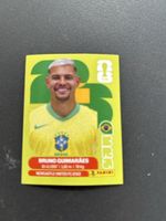 Panini BRA 11