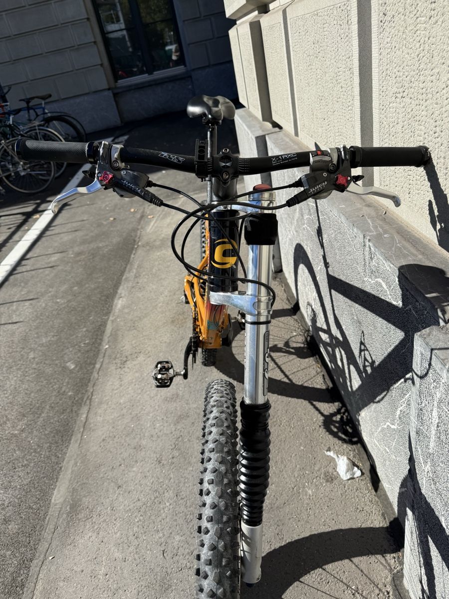 Cannondale Biciclette: Cannondale Jekyll 2000 – Vintage MTB mit Lefty Gabel – Usato da Rümlang venduto da vla_9g7d 6