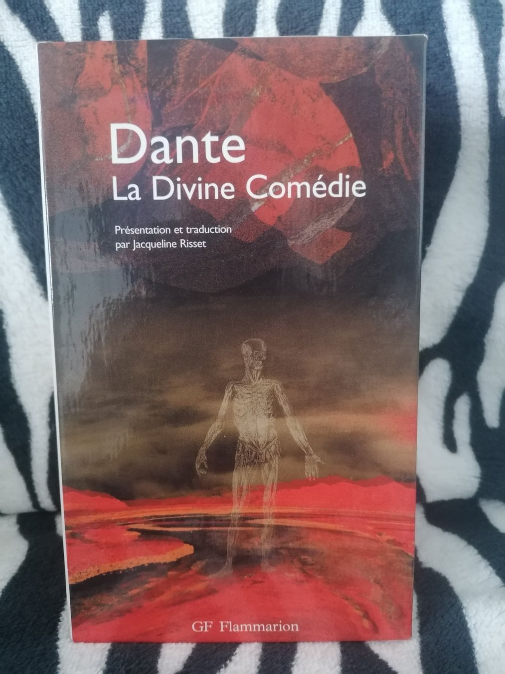Bücher: La Divine Comédie de Dante – Gebraucht aus St-Prex von ojo_b2tx 2