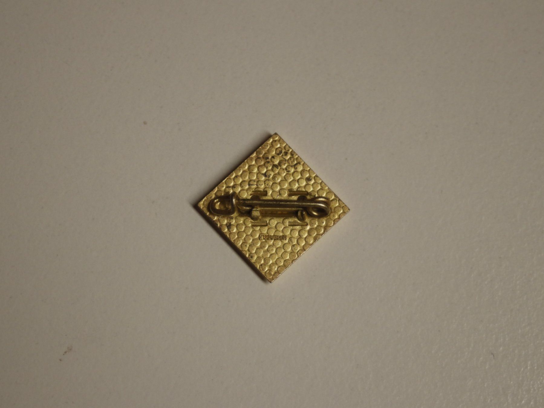 Placchette & Badge: Pin – Usato da Zofingen venduto da dodolino65 2