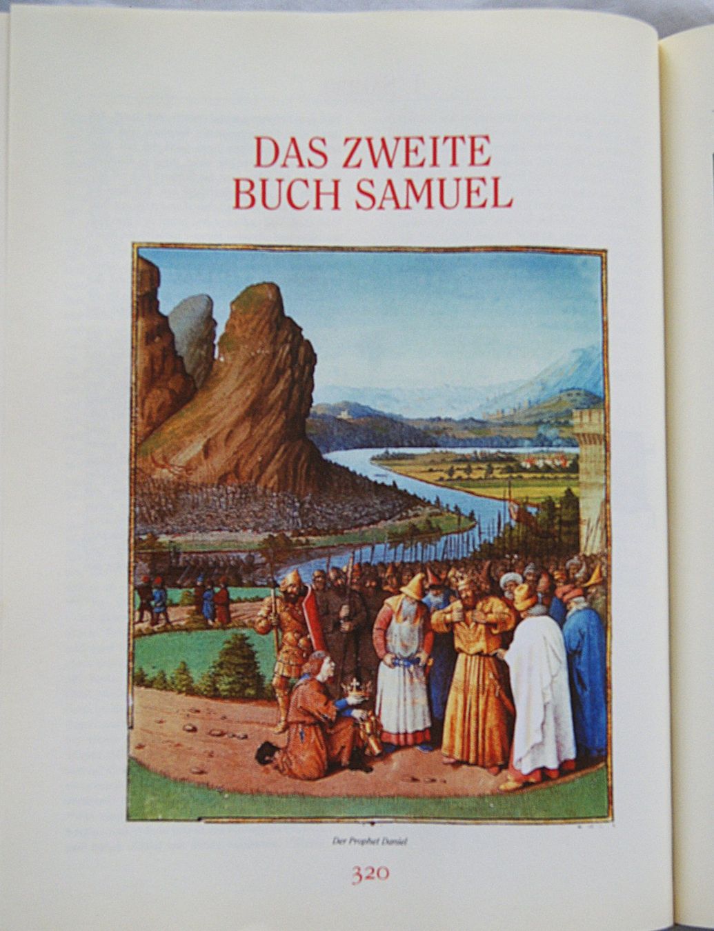 Livres: DIE BIBEL – D'occasion à Stadel par Wald100 5