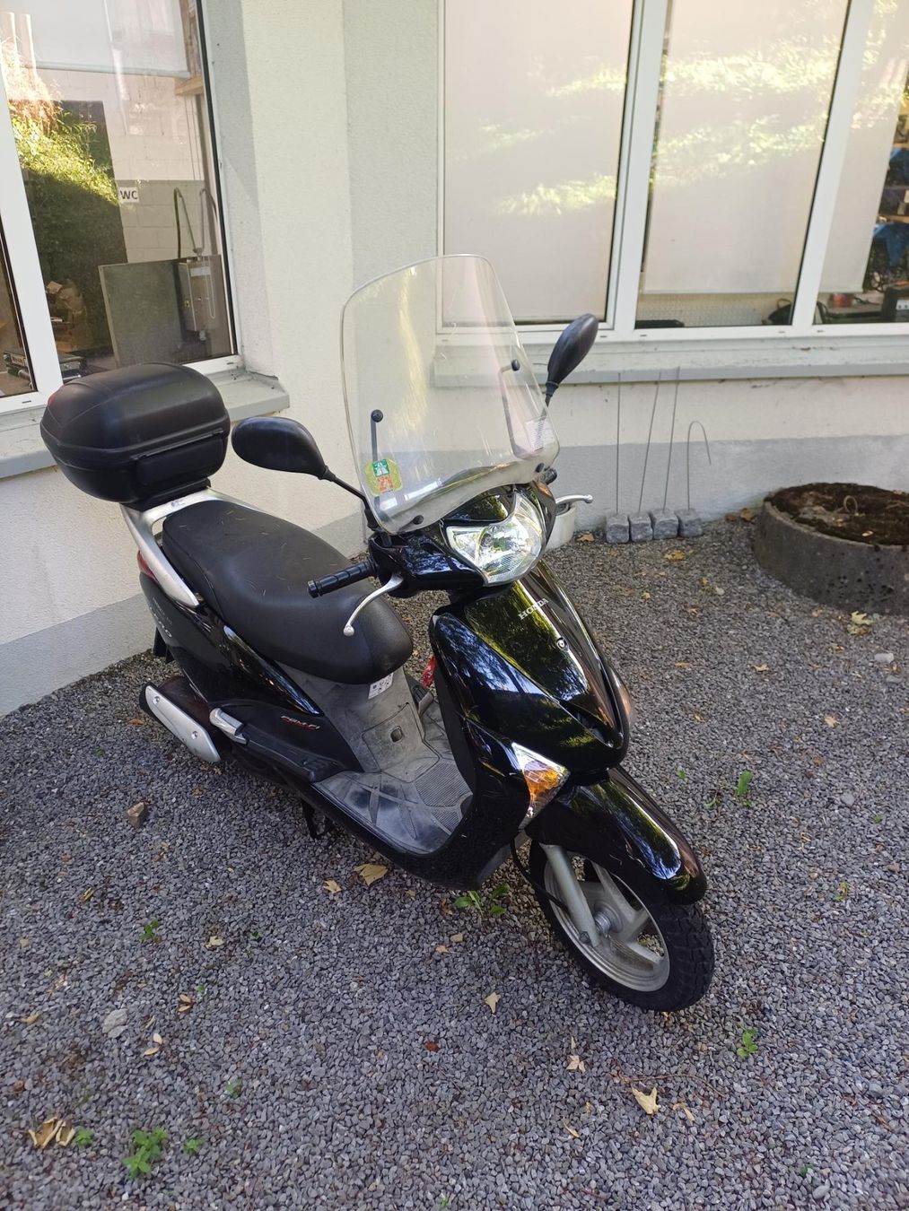 Honda Scooters: Roller Honda NHX110 Ab Platz! – Défectueux à Appenzell par hgmotos 3