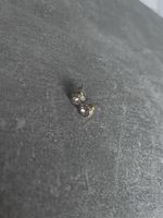 Swarovski Elegante Ohrstecker, neuwertig - perfektes Geschen