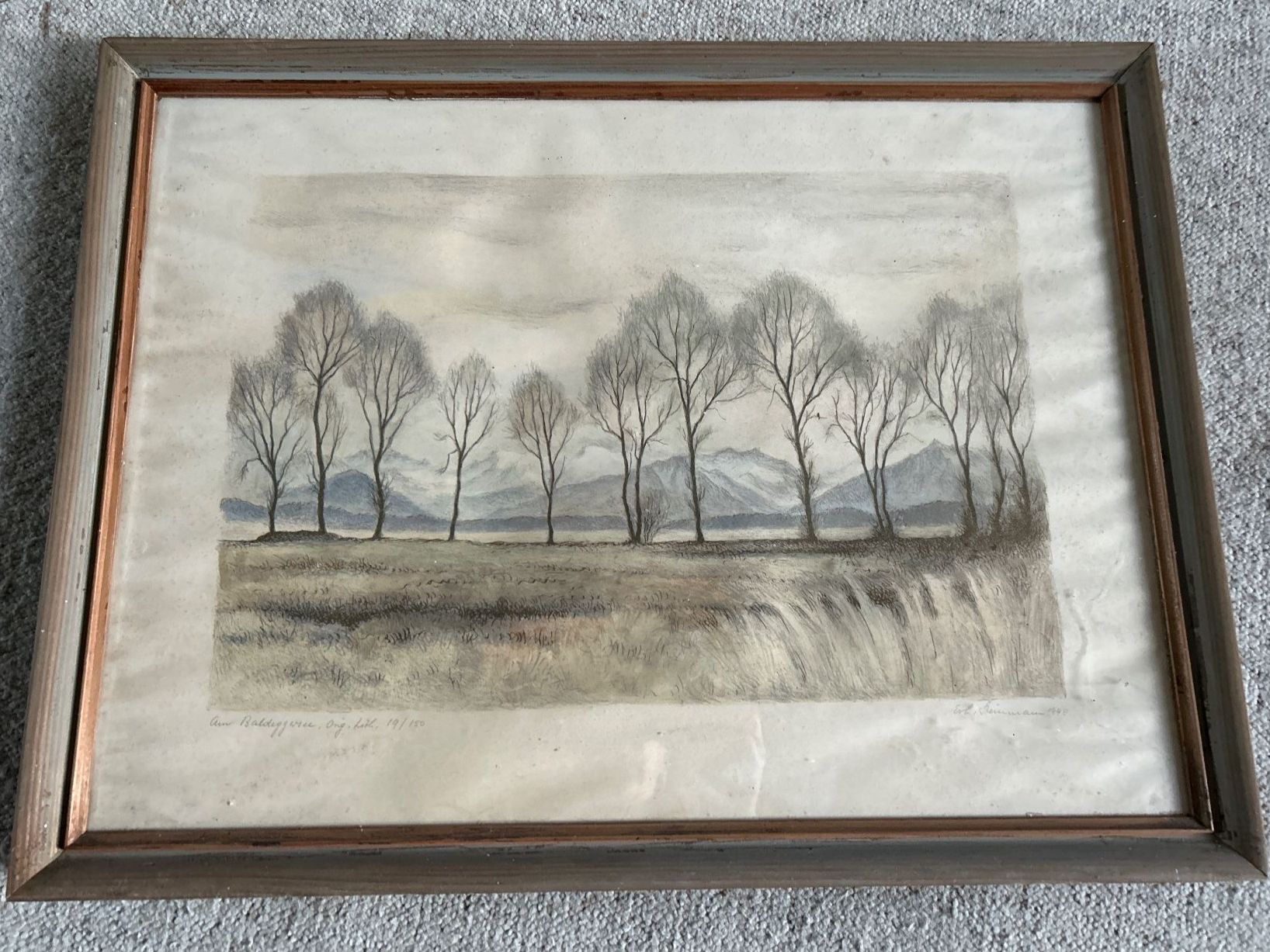 Grafica & Litografie: Erh. Steinmann Lithographie "am Baldeggersee" 19/150 – Usato da Villnachern venduto da RicardoMary