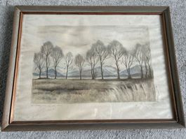 Erh. Steinmann Lithographie "am Baldeggersee" 19/150