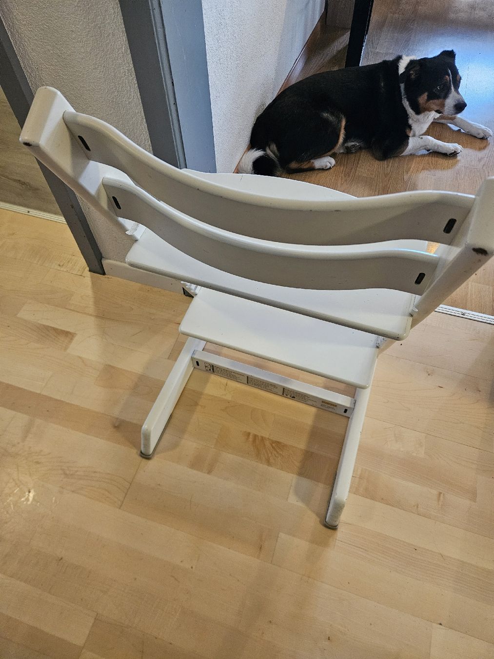 Stokke Seggioloni: Tripp Trapp – Usato da Schmitten (Albula) venduto da Punktus 1