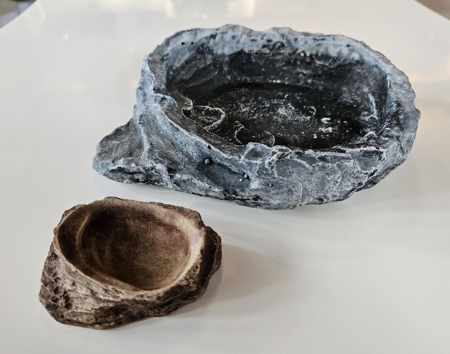 Terrario: Zwei Futter- oder Wasserschalen für Terrarien – Usato da Einigen venduto da Pretorius66