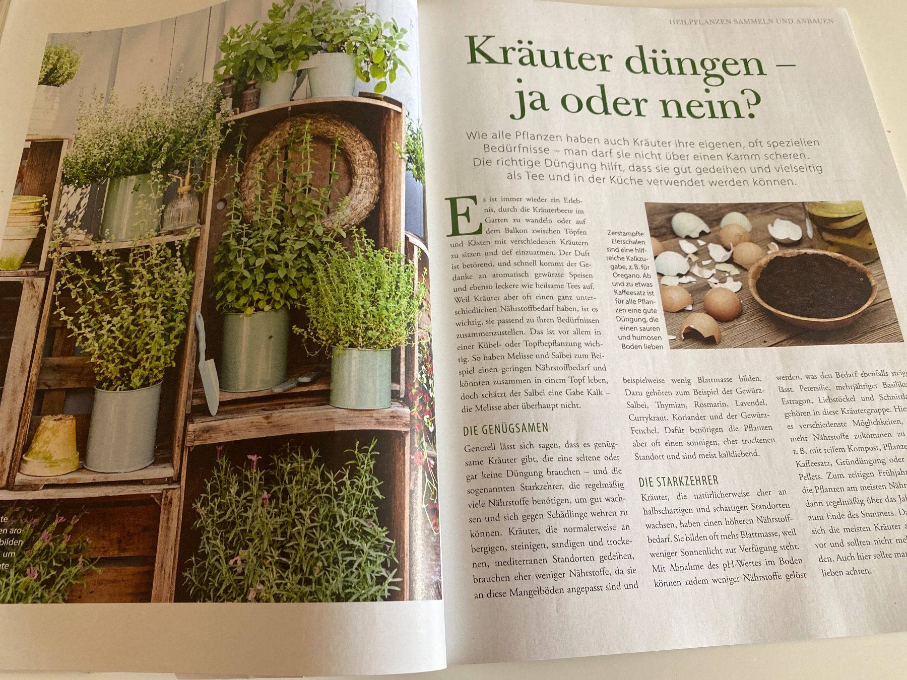 Zeitschriften & Magazine: MAGAZIN LAND APOTHEKE DAS ORIGINAL – Gebraucht aus Meienried von ManuelaBoutique 3