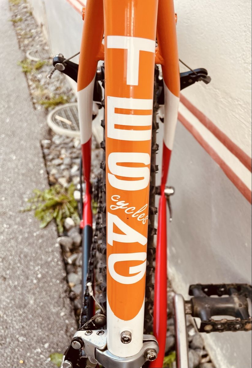 Biciclette: MTB TESAG 26 pouces – Usato da Luc (Ayent) venduto da serge40 1