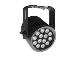 INFINITY Raccoon P14/4 Professional RGBM Par (C5078)