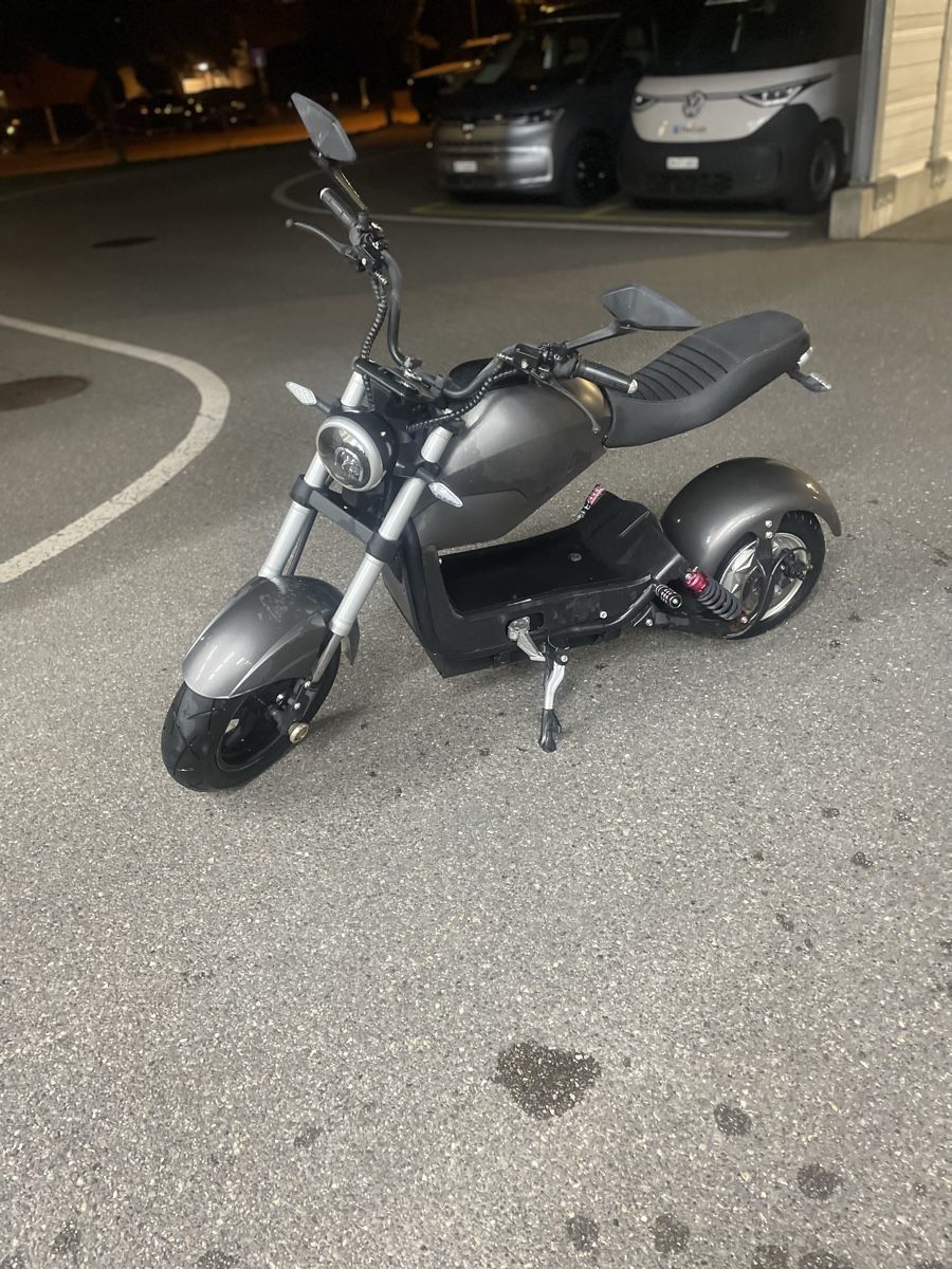 Züriflizzer Elektromobile: City Max RR  – Gebraucht aus Uster von dominic2002 6