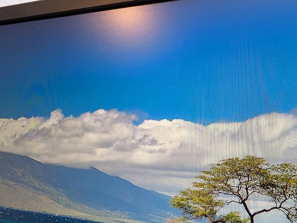 Monitor: Dell Full HD Monitor – Usato da Baden venduto da voj_8xht