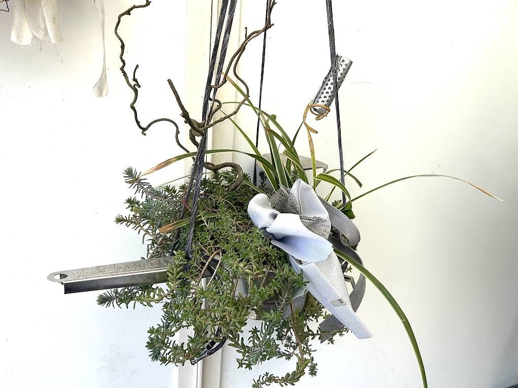 Elettrodomestici da cucina: Blumen in der Passevite  – Usato da Frauenfeld venduto da Irene.Schuppli 3
