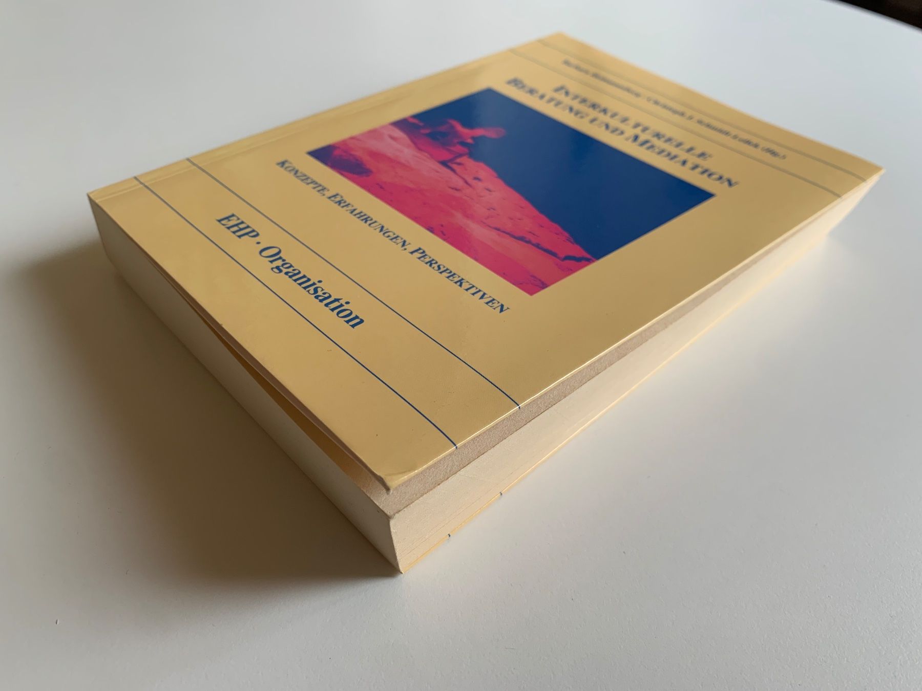 Libri: Buch "Interkulturelle Beratung und Mediation" – Usato da Zürich venduto da Leonieonie. 6
