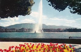 Genève le jet d'eau