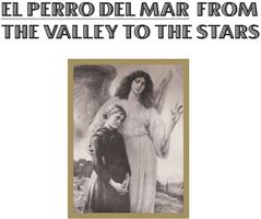El Perro Del Mar - From The Valley To The Stars