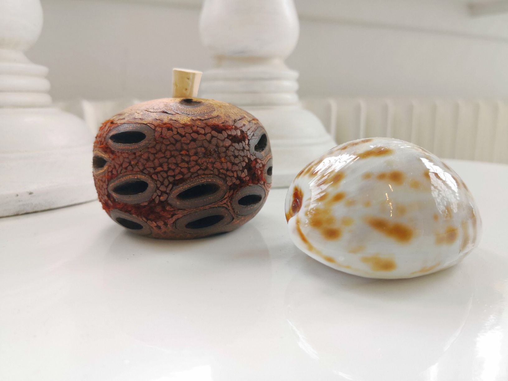 Tutte le decorazioni: 🤩BANKSIA ÄTHERISCHER ÖL DIFFUSER AUS AUSTRALIEN RAR – Nuovo (secondo la descrizione) da Olten venduto da Naja-Twins-Twins 2