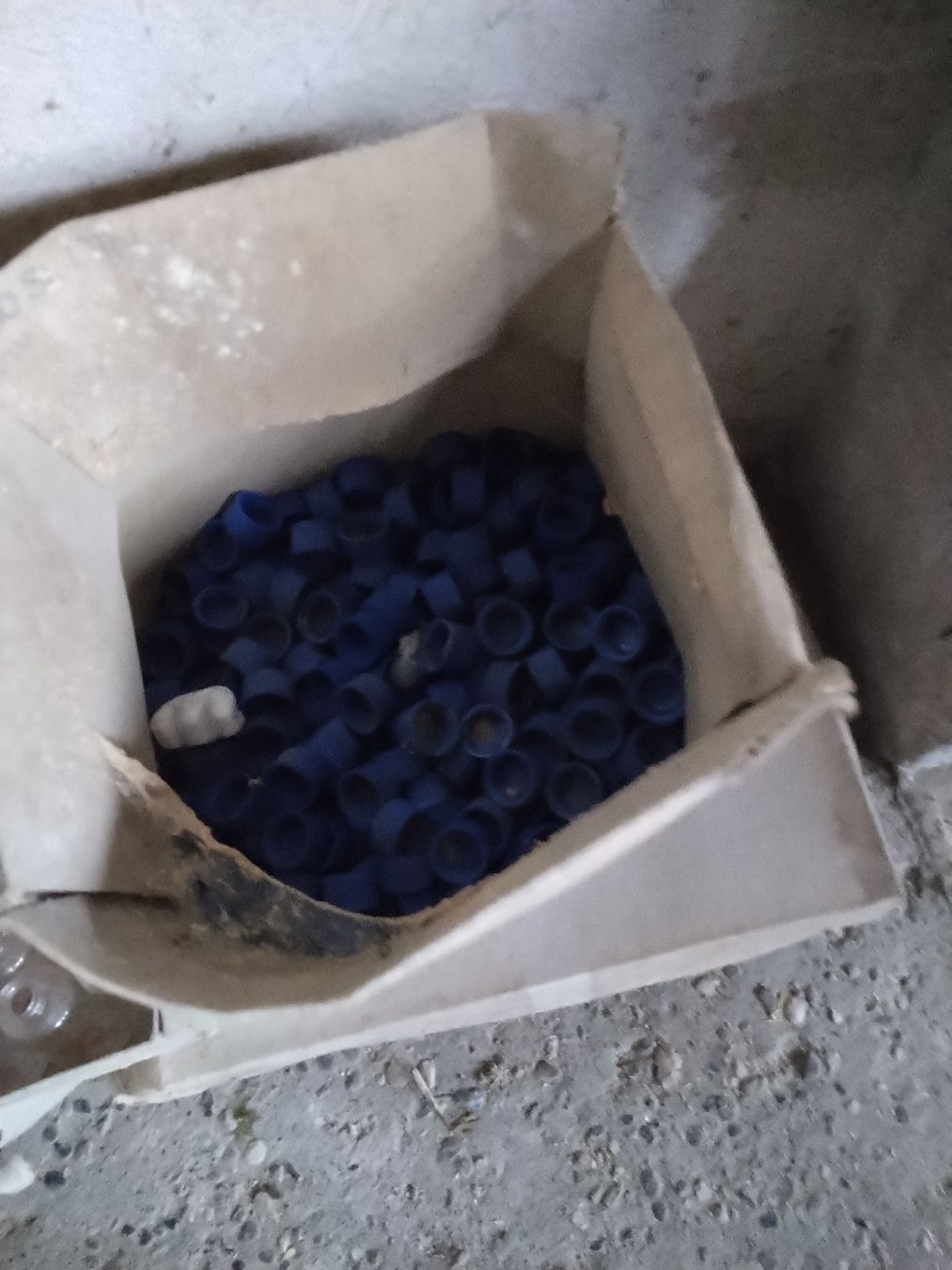 Apribottiglie & Tappi per chiusura: Kleine Glasfläschen XXL Posten  – Nuovo (secondo la descrizione) da Wikon venduto da tobit777 2