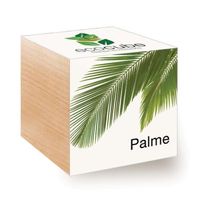 Ecocube Palme - Pflanzen im Holzwürfel - Biozertifizierte Pf