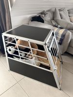 Hundetransportbox  zu verkaufen 