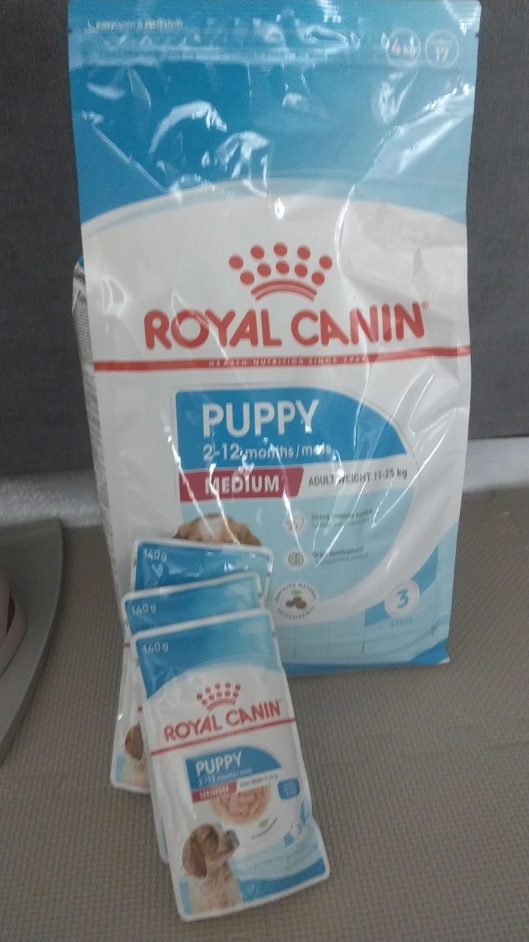Royal Canin Mangimi: Royal Canin Puppy Medium Futter neu – Nuovo e nell'imballaggio originale da Buochs venduto da freestylesound
