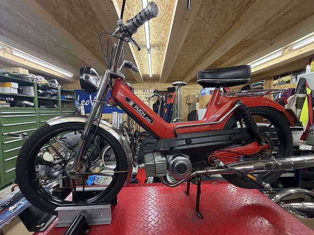 Puch Mofas: Puch Maxi S Allegro – Gebraucht aus Plasselb von MatthD