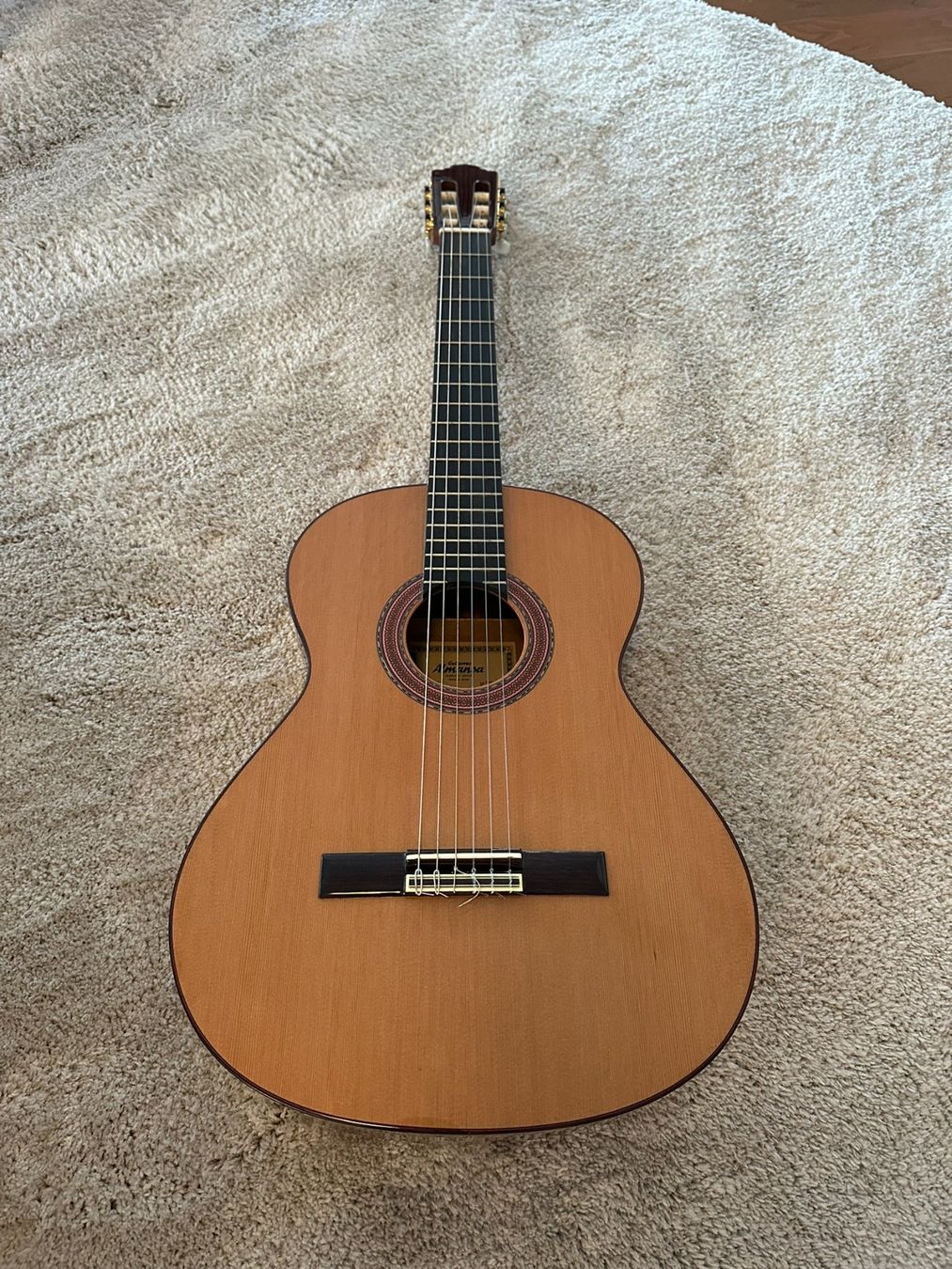 AirTurn Strumenti musicali: GITARRE / Almansa – Usato da Eschenbach LU venduto da Mfkarl