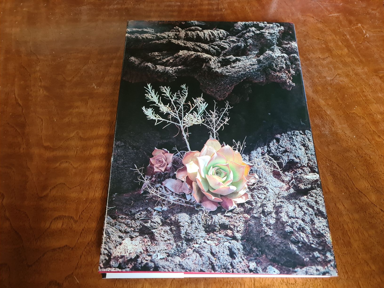 Libri: Kanarische Inseln – Usato da Erstfeld venduto da Mario_boe0 5