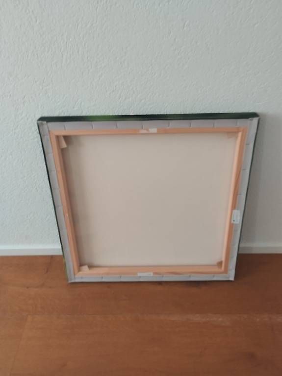 Foto & Immagini: Bild Blume 60x60 cm – Usato da Buchrain venduto da joe_phc7 1