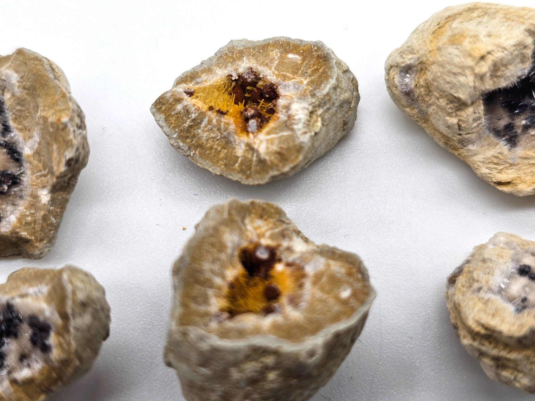 Minerali & Pietre curative: RaRe Kutnohorite with Aragonite in Geode – Usato da Figino venduto da minshop 3