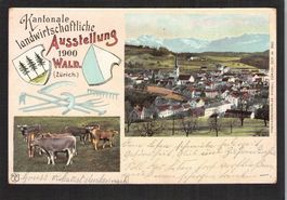 #Kant. Landwirtschaftliche Ausstellung 1900 Wald ZH,gel 190ü