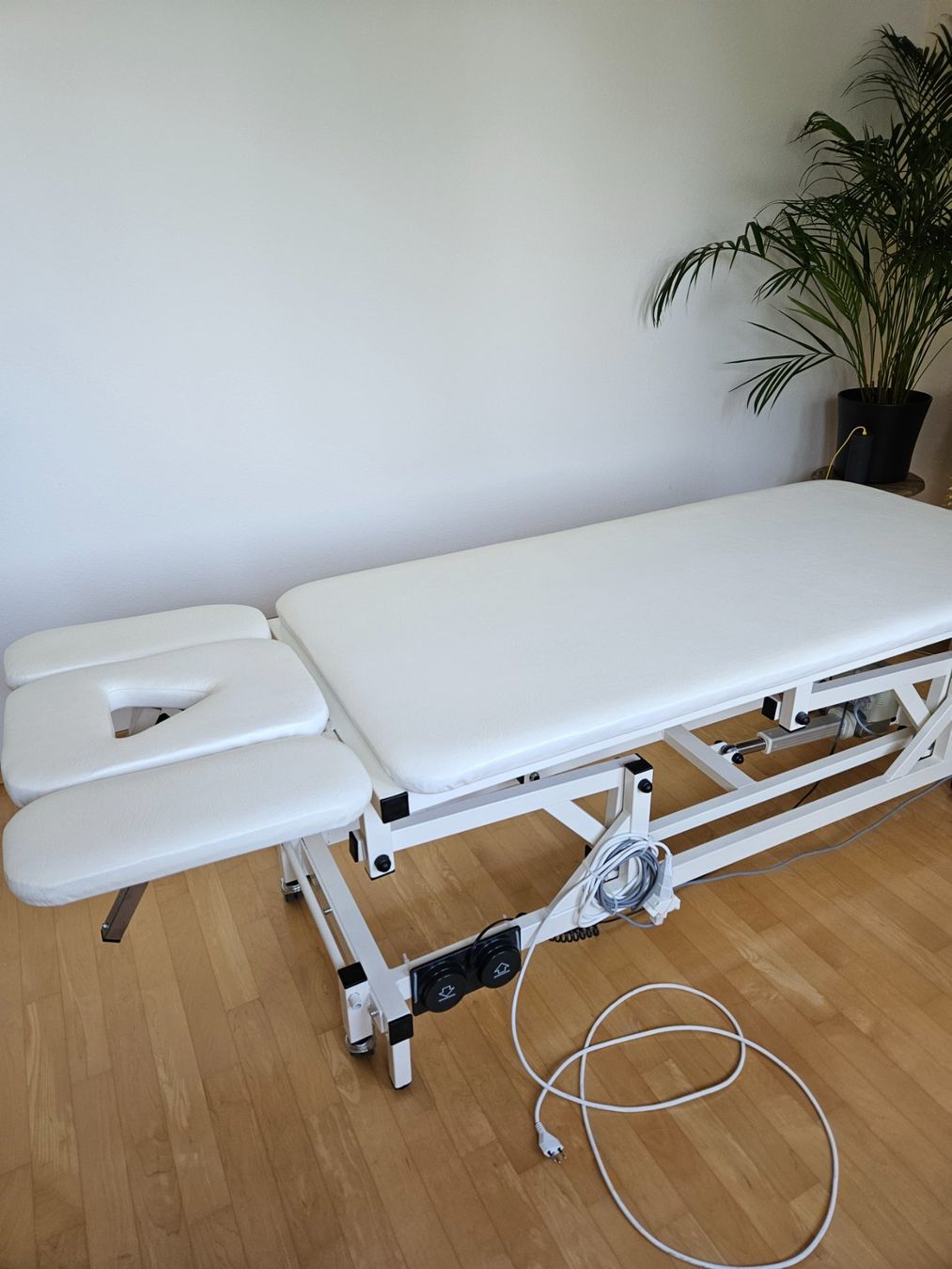 Sedie a sdraio: Massageliege elektronisch – Usato da Nänikon venduto da 8610pb