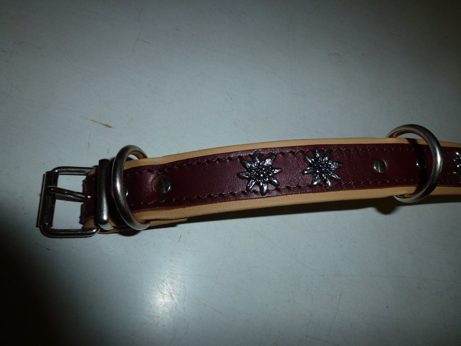 Leine & Halsband: Hundehalsband – Neu (gemäss Beschreibung) aus Bürglen UR von daisyxy5 3