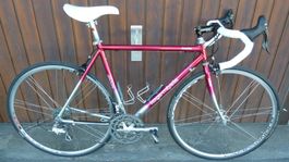 Antikes Rennvelo Koga-Miyata GranLux 54cm Alu Campagnolo