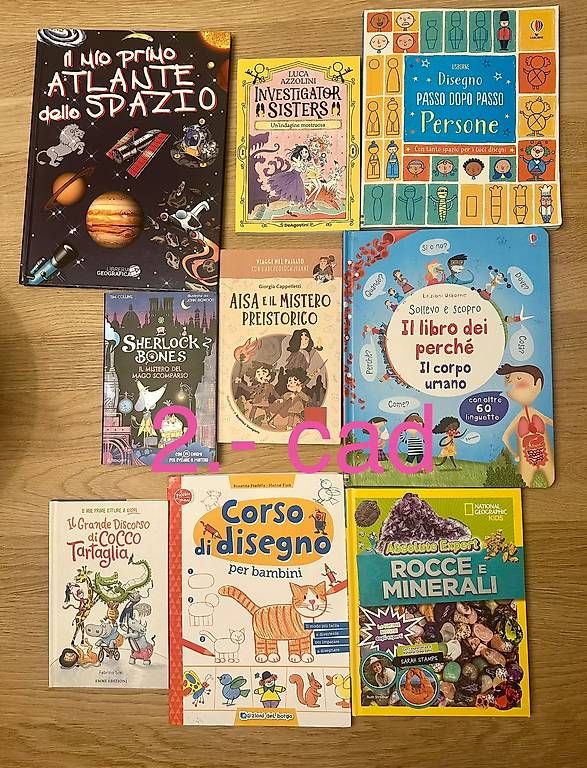 Libri: Vari  – Usato da Ascona venduto da vez_syh8 1