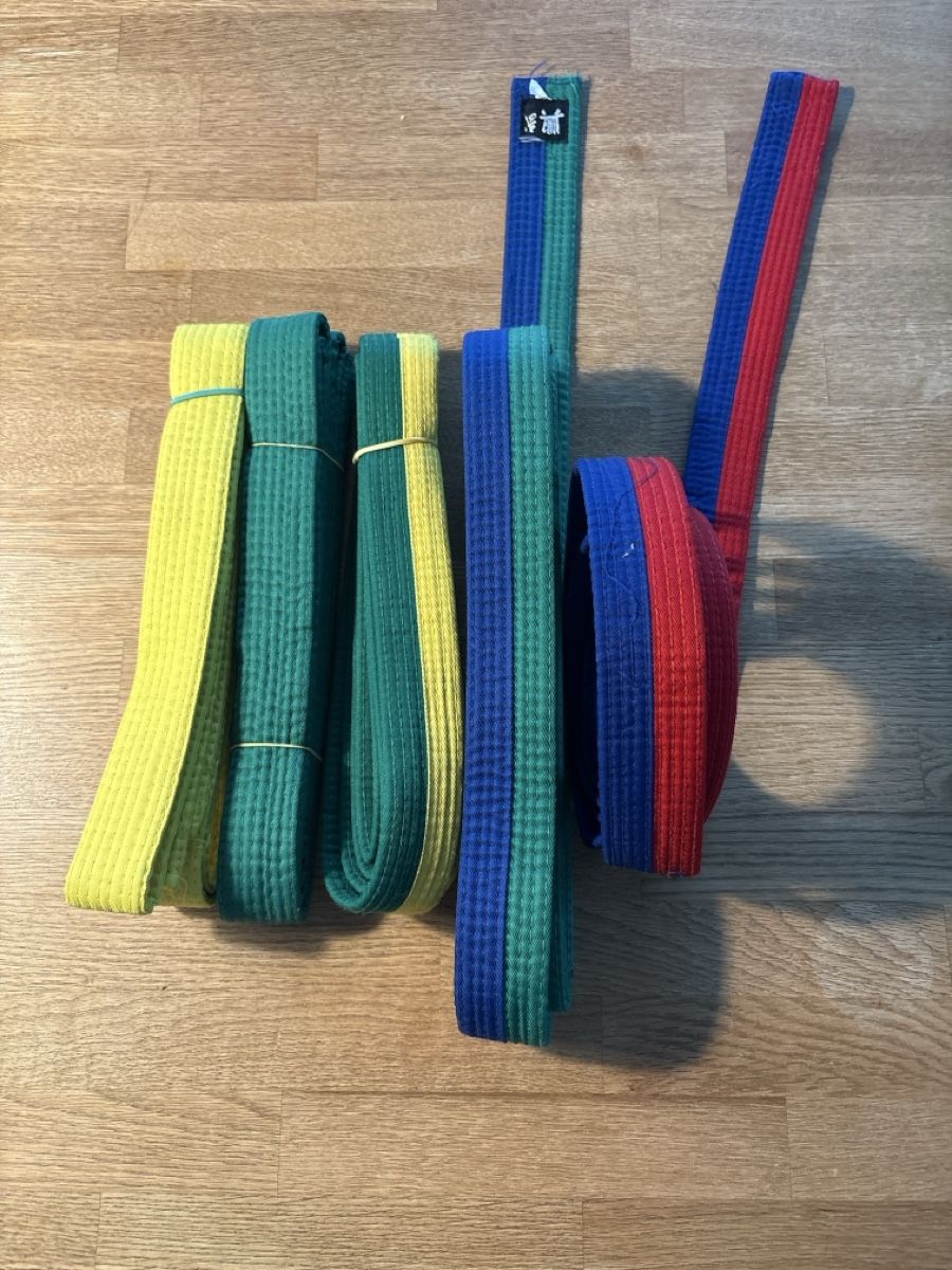 Cinture: Kampfsport Gürtel-Set gebraucht – Usato da Siblingen venduto da kaiuwe78