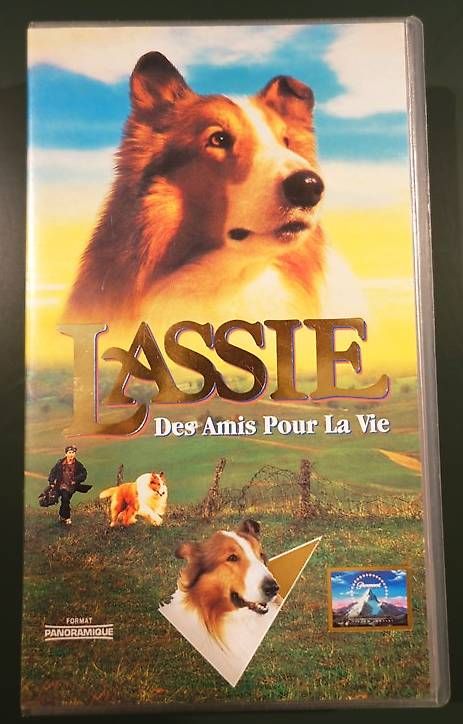 Tutti i VHS: VHS Enfants K7 films – Nuovo (secondo la descrizione) da Genève venduto da flocon06 3