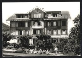 AK Wilderswil, Park Hotel des Alpes