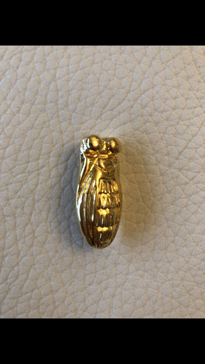 Spille & Fermagli: CARON broche dorée cigale vintage – Nuovo (secondo la descrizione) da Cointrin venduto da sacha1981 1